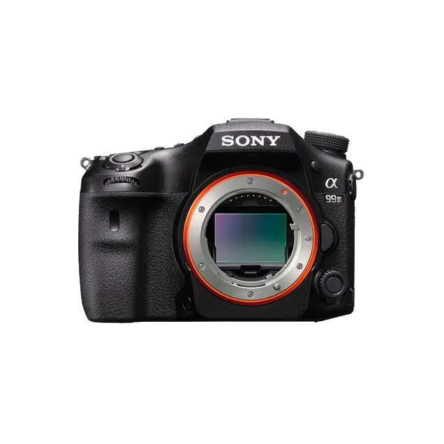 Чистка CCD/CMOS матрицы Sony A99 II
